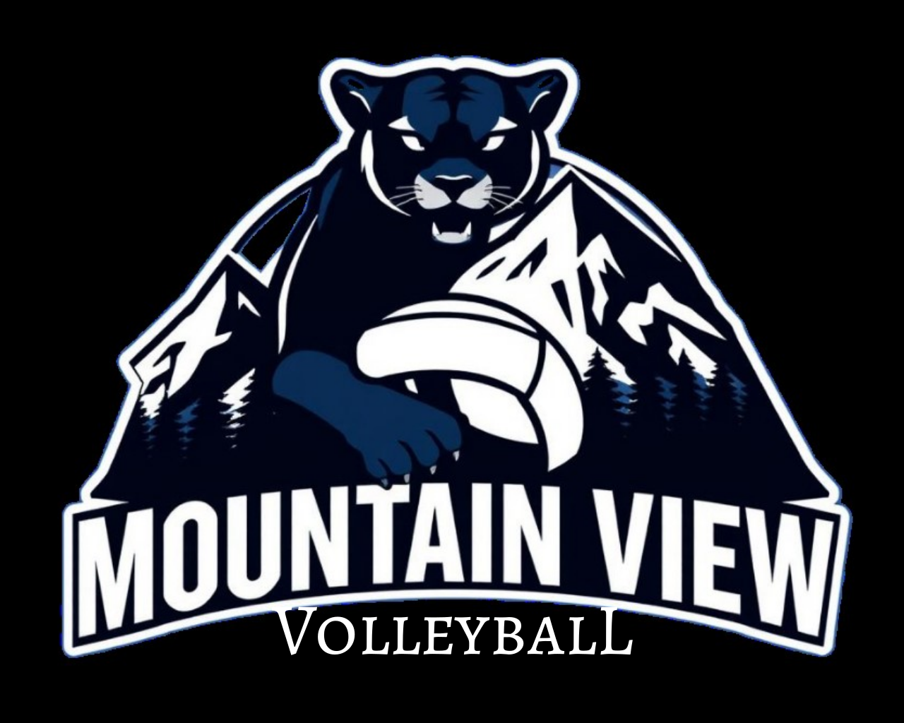Mountain View Volleyball